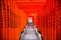 Torii Gates - Hie Shrine 日枝神社, Tokyo