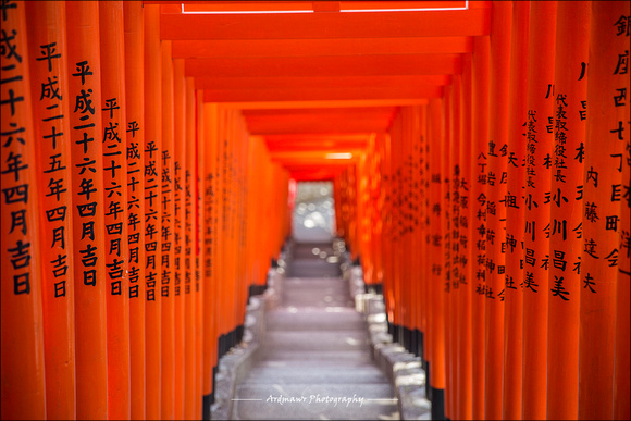 Torii Gates - Hie Shrine 日枝神社, Tokyo