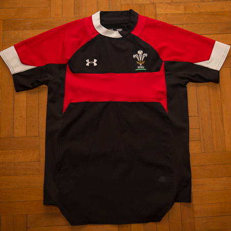 Wales - Training Shirt