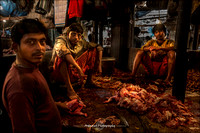 Chicken Pluckers - Kolkata